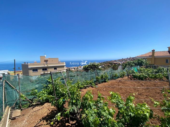 Image No.3-Plot for sale