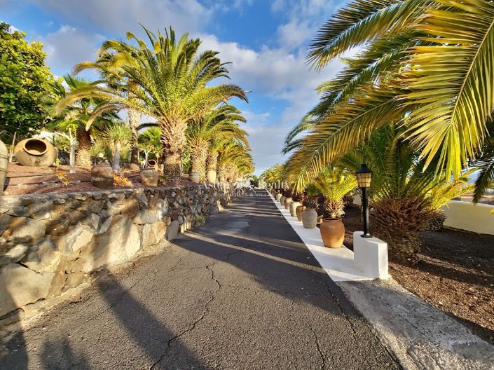 Image No.12-9 Bed Villa for sale