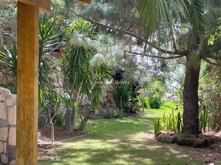 Image No.39-6 Bed Villa for sale