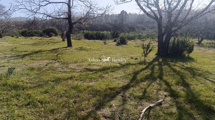 Image No.4-Terrain à vendre à La Matanza de Acentejo