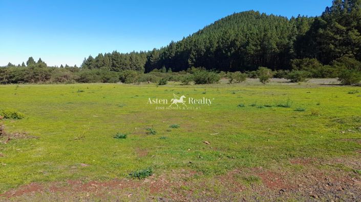 Image No.7-Terrain à vendre à La Matanza de Acentejo