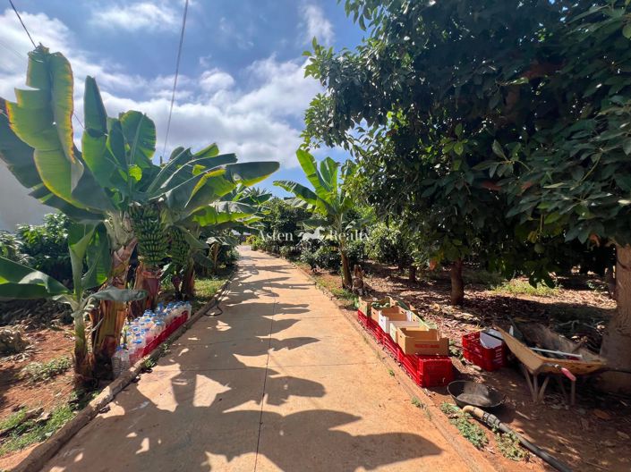 Image No.19-Plot for sale