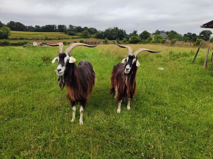 Image No.14-6 Bed House for sale