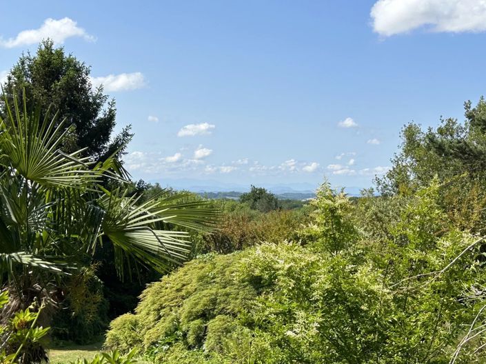 Image No.24-5 Bed House for sale