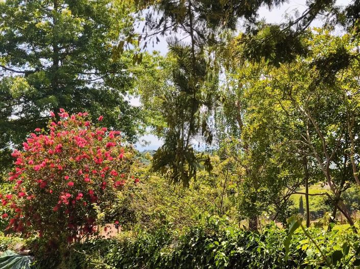 Image No.24-6 Bed House for sale