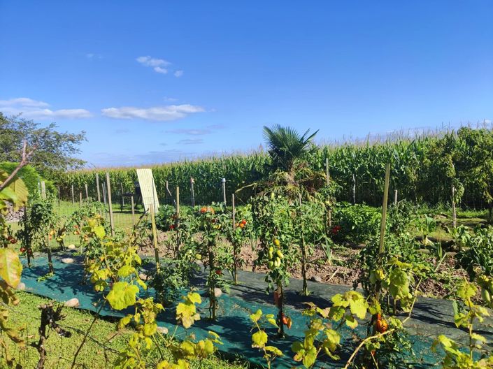 Image No.13-5 Bed House for sale