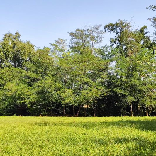 Image No.7-7 Bed House for sale