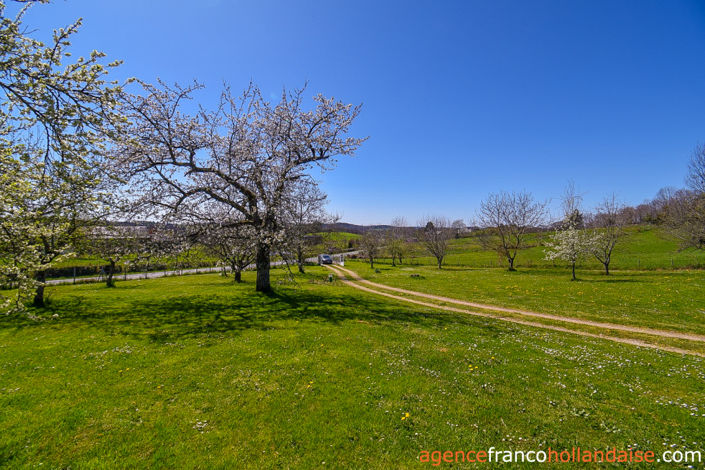 Image No.44-4 Bed House for sale