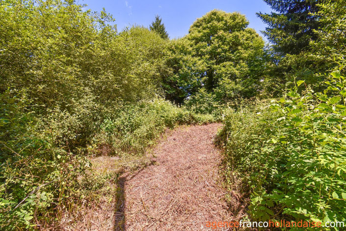 Image No.38-4 Bed House for sale