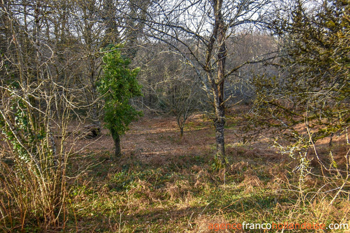 Image No.44-5 Bed House for sale