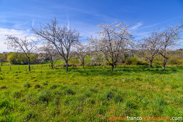 Image No.35-5 Bed House for sale