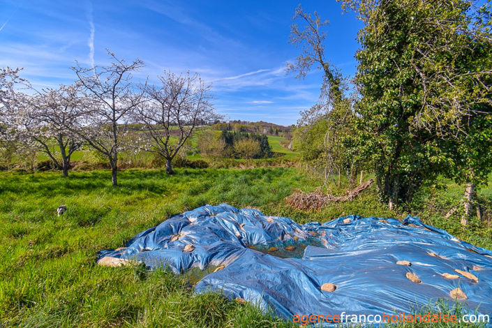 Image No.37-5 Bed House for sale