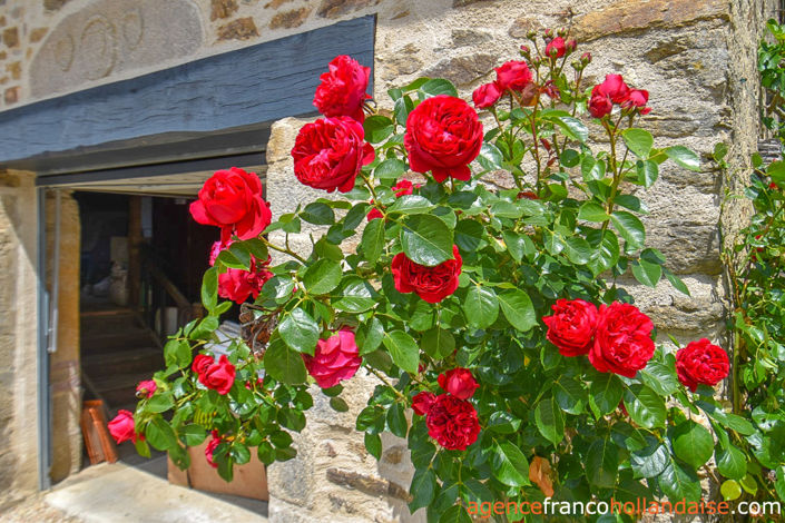 Image No.38-3 Bed House for sale