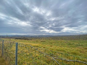 1 - Lot-et-Garonne, Plot