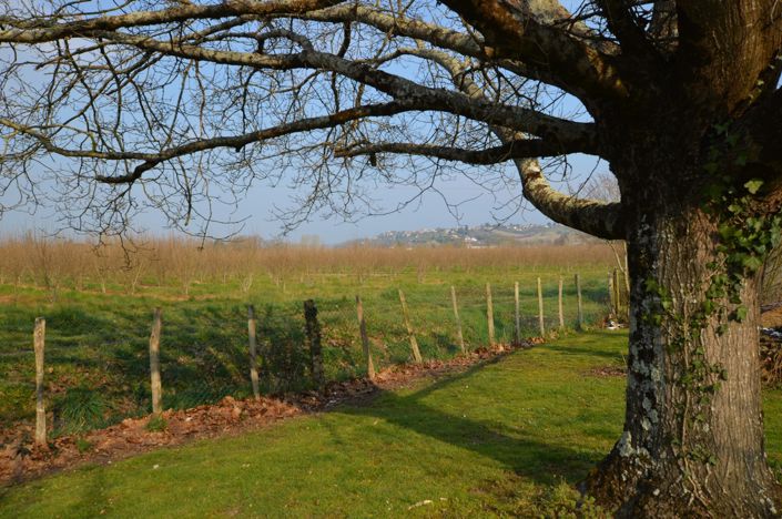 Image No.7-3 Bed Country House for sale