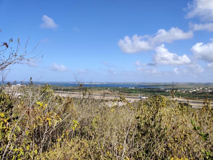 Image No.2-Land for sale