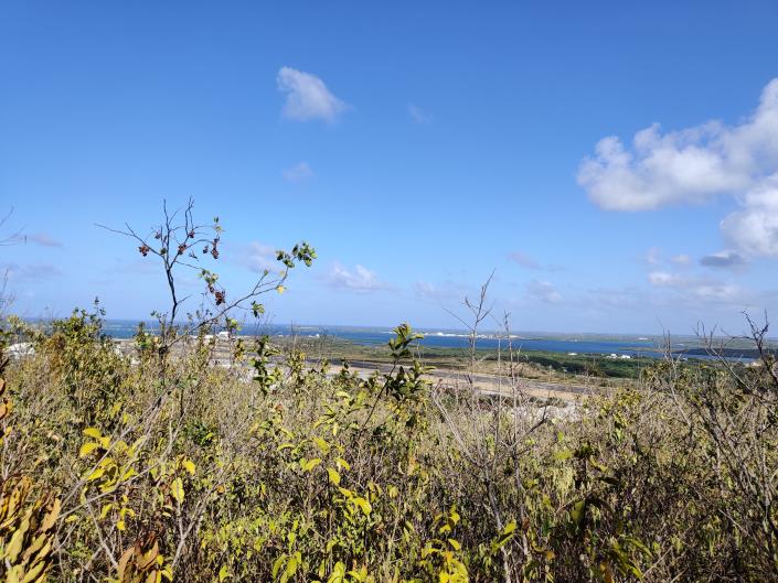 Image No.4-Land for sale