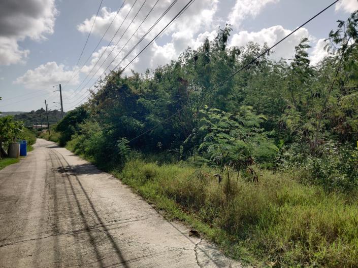 Image No.4-Land for sale