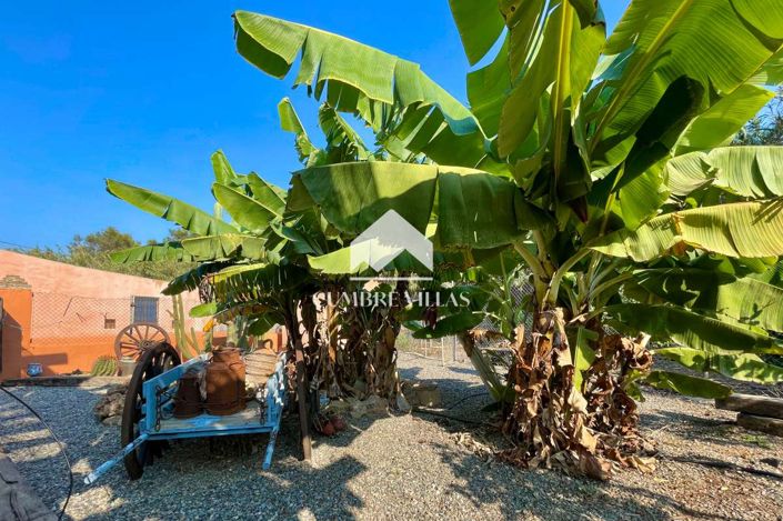 Image No.4-6 Bed Country House for sale