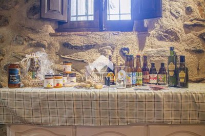 2022102522043500000020221021131833000000alque