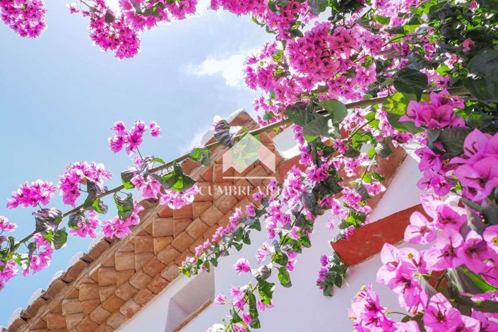 Image No.4-14 Bed Country House for sale