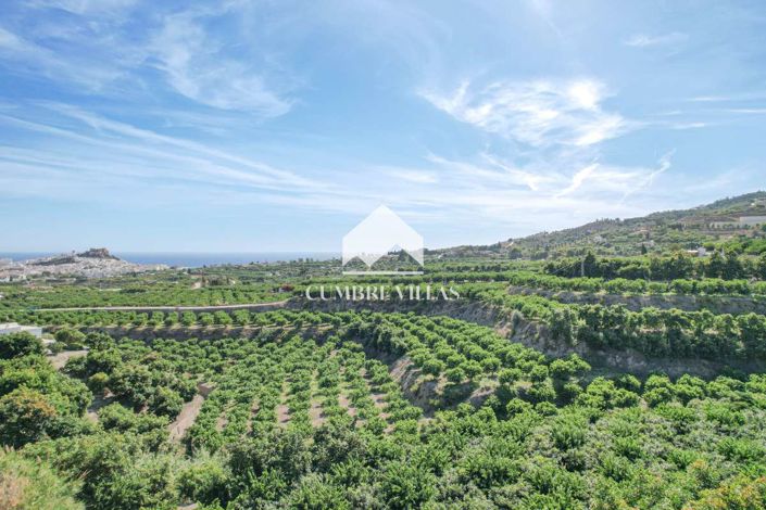 Image No.58-3 Bed Country House for sale