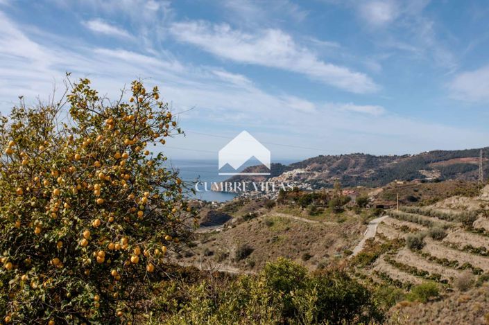 Image No.39-8 Bed Country House for sale