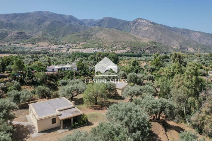 Image No.3-6 Bed Country House for sale