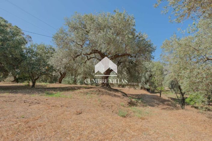 Image No.30-6 Bed Country House for sale