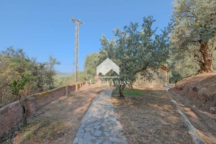 Image No.7-6 Bed Country House for sale