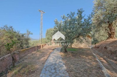 20250710112937000000dsf5986