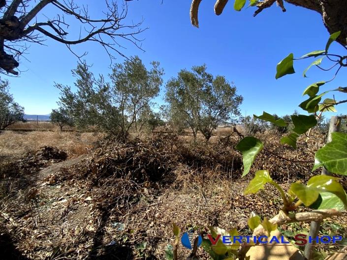 Image No.16-4 Bed Country House for sale