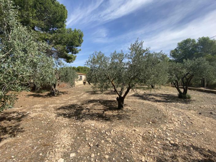 Image No.23-2 Bed Country Property for sale