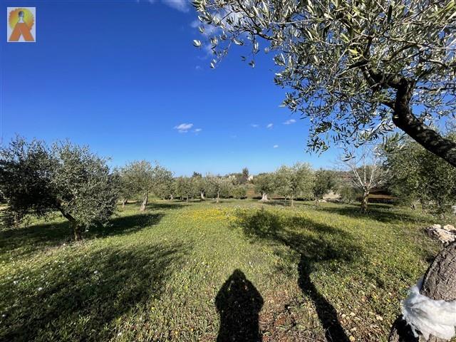 Image No.54-3 Bed Trullo for sale
