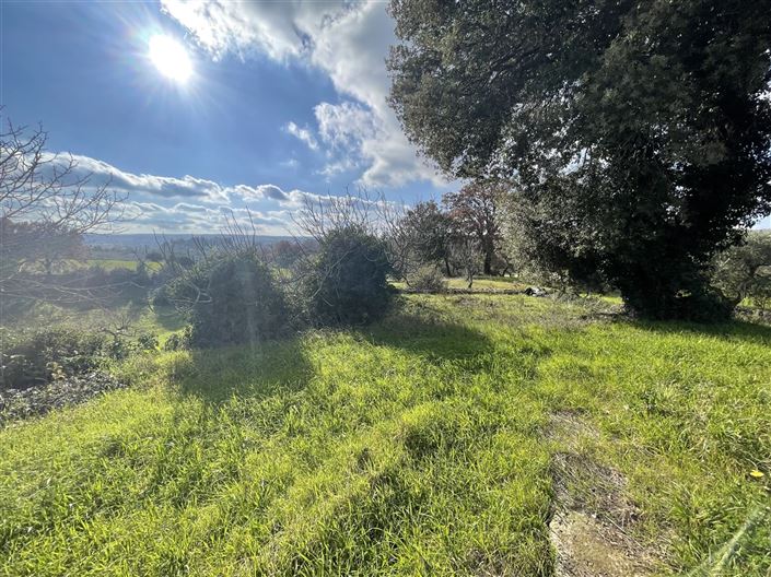 Image No.30-3 Bed Country House for sale