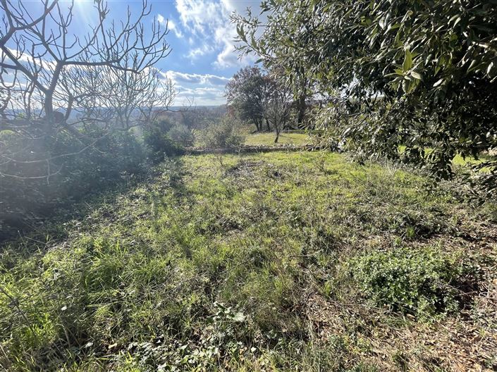 Image No.31-3 Bed Country House for sale