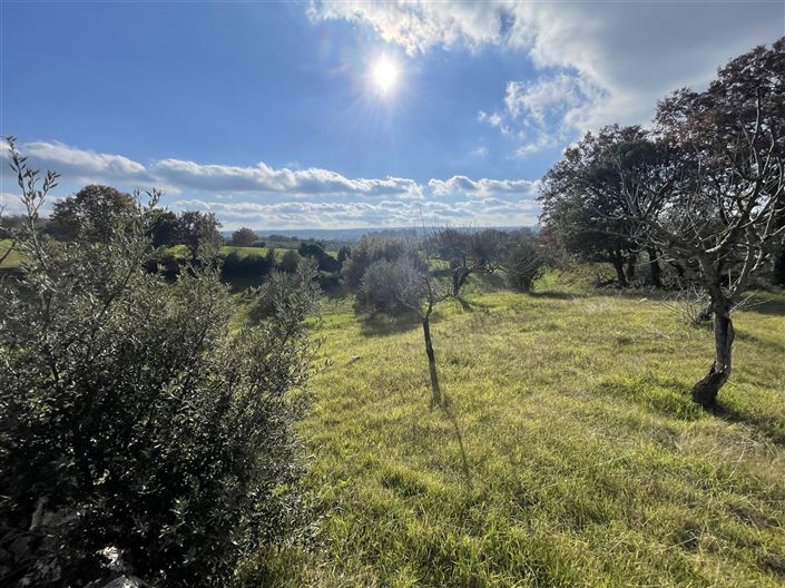 Image No.32-3 Bed Country House for sale