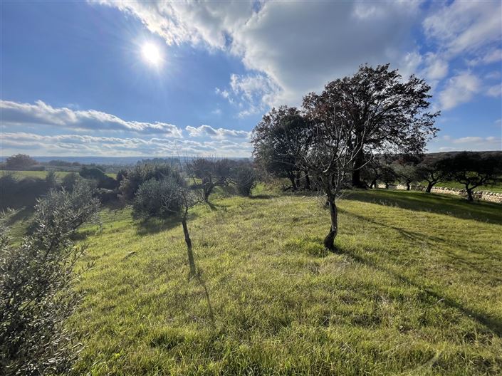 Image No.33-3 Bed Country House for sale