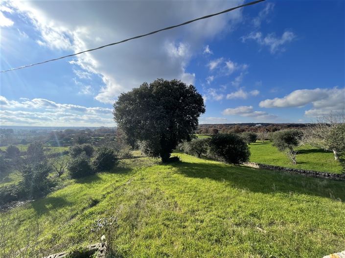 Image No.37-3 Bed Country House for sale