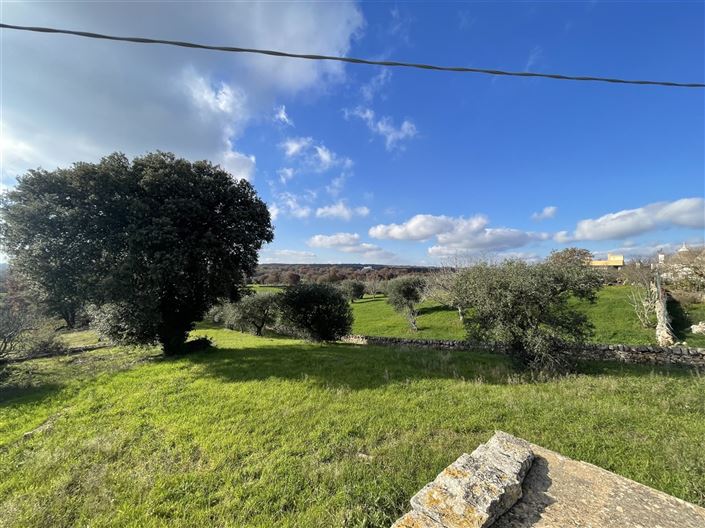 Image No.38-3 Bed Country House for sale