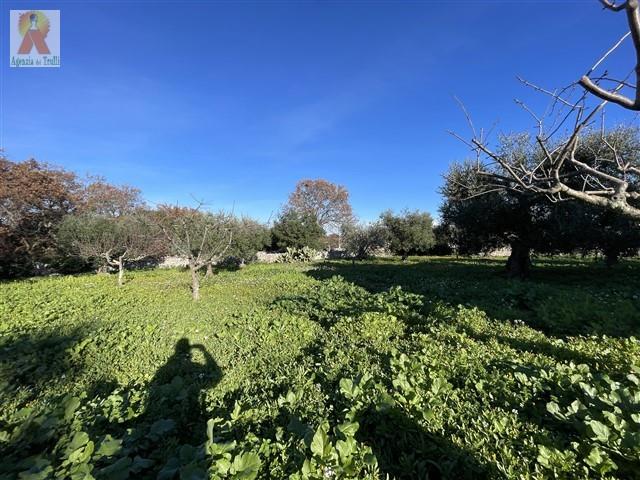 Image No.15-4 Bed Trullo for sale