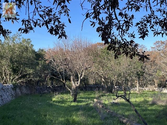 Image No.16-4 Bed Trullo for sale