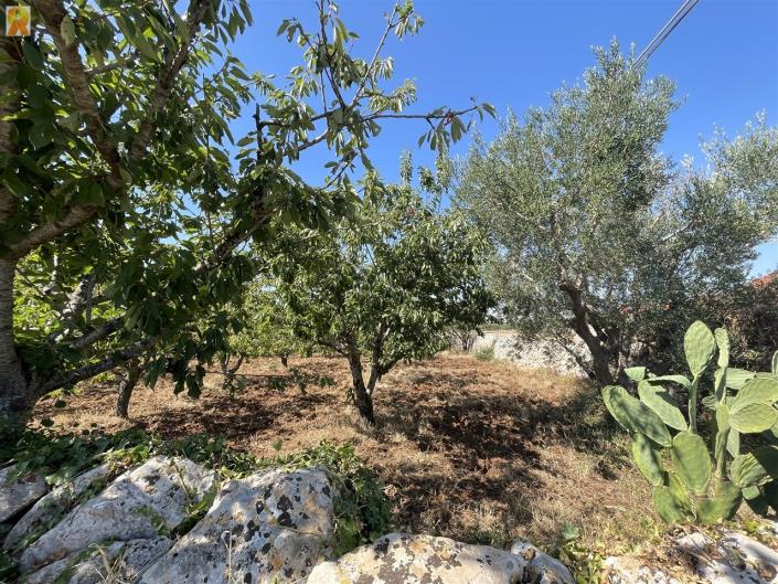 Image No.40-1 Bed Trullo for sale