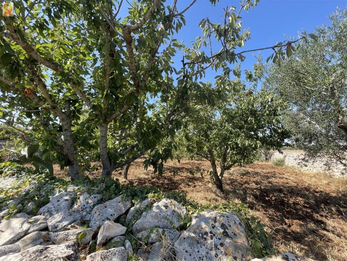 Image No.41-1 Bed Trullo for sale