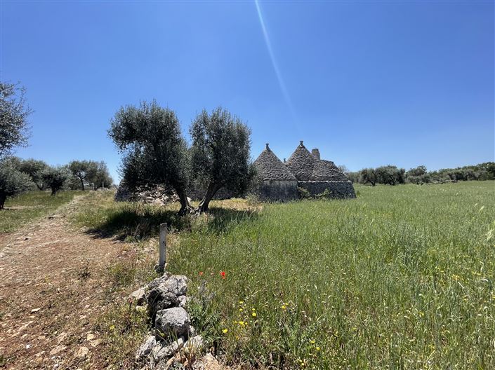 Image No.28-1 Bed Country House for sale