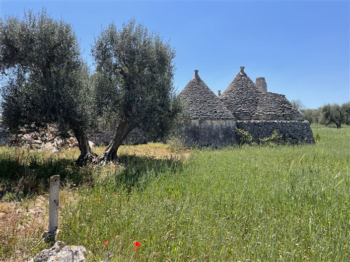 Image No.6-1 Bed Country House for sale