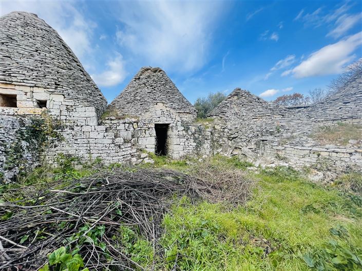 Image No.9-3 Bed Farmhouse for sale