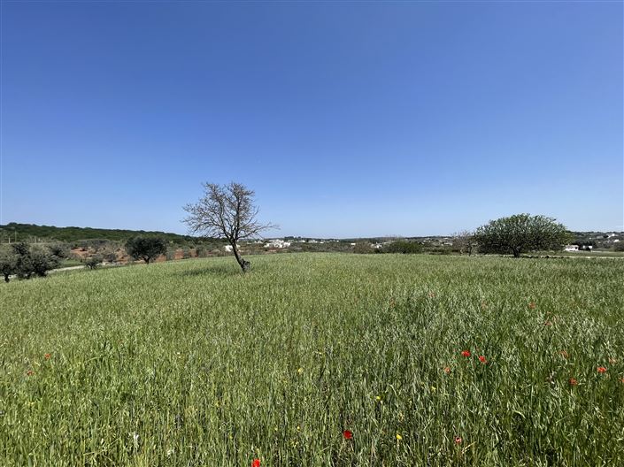 Image No.19-2 Bed Country House for sale