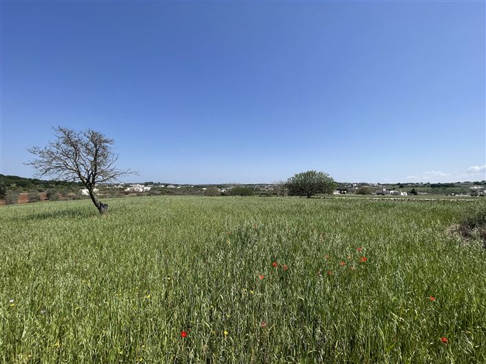 Image No.20-2 Bed Country House for sale