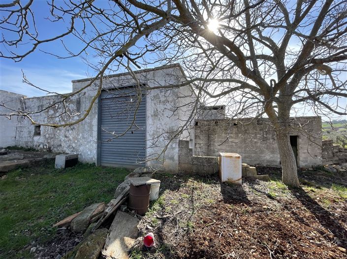 Image No.11-3 Bed Country House for sale